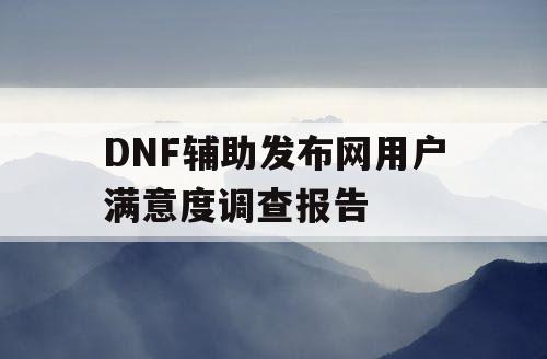 DNF辅助发布网用户满意度调查报告