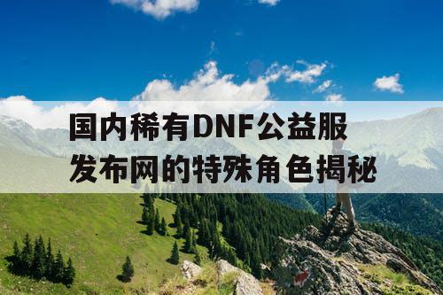 国内稀有DNF公益服发布网的特殊角色揭秘