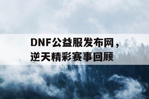 DNF公益服发布网，逆天精彩赛事回顾