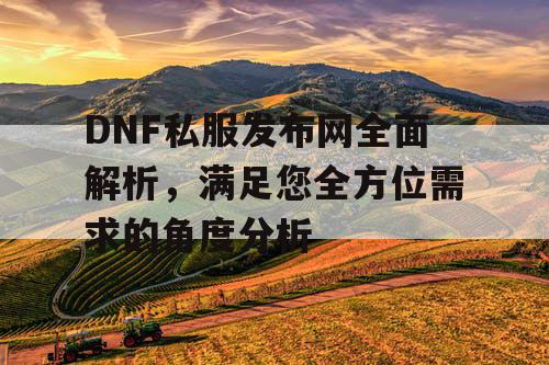 DNF私服发布网全面解析，满足您全方位需求的角度分析