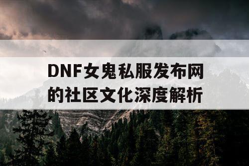 DNF女鬼私服发布网的社区文化深度解析