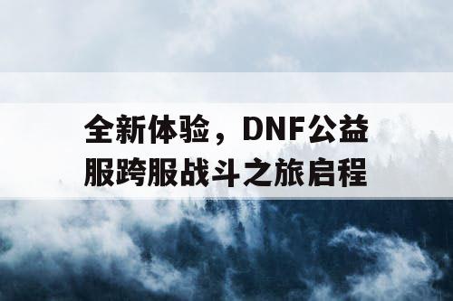 全新体验，DNF公益服跨服战斗之旅启程