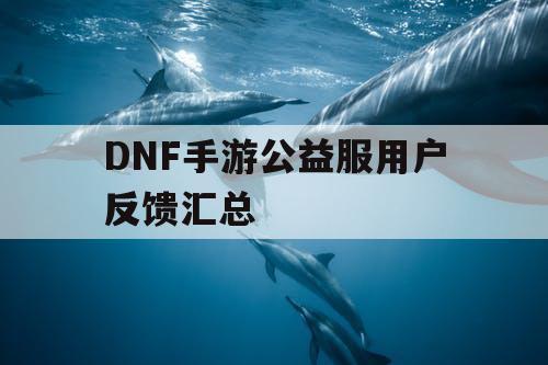 DNF手游公益服用户反馈汇总