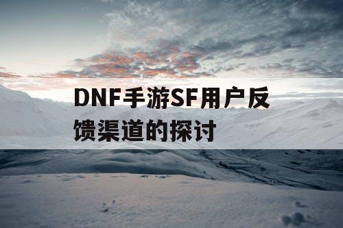 DNF手游SF用户反馈渠道的探讨