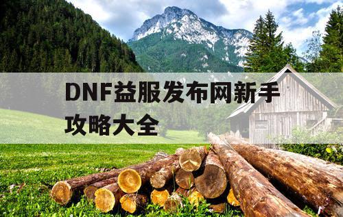 DNF益服发布网新手攻略大全