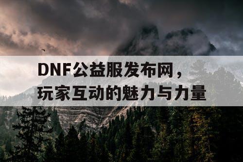 DNF公益服发布网	，玩家互动的魅力与力量