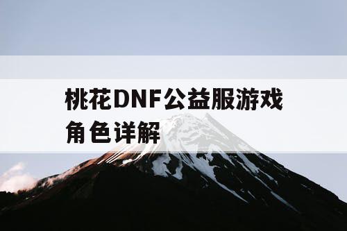 桃花DNF公益服游戏角色详解