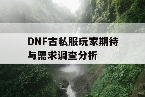 DNF古私服玩家期待与需求调查分析