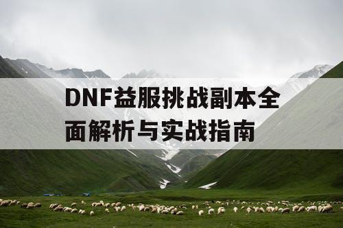 DNF益服挑战副本全面解析与实战指南