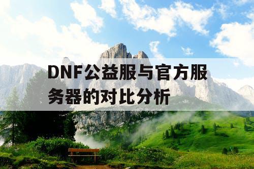 DNF公益服与官方服务器的对比分析