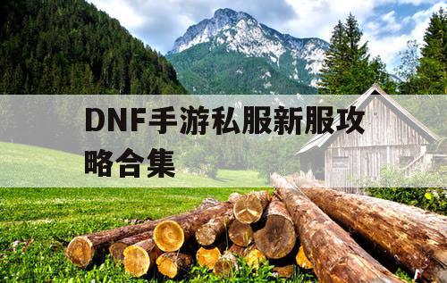 DNF手游私服新服攻略合集