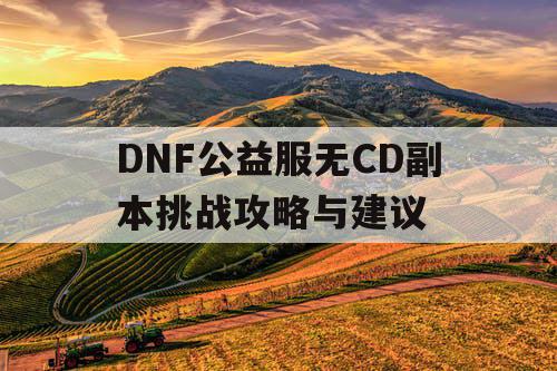 DNF公益服无CD副本挑战攻略与建议