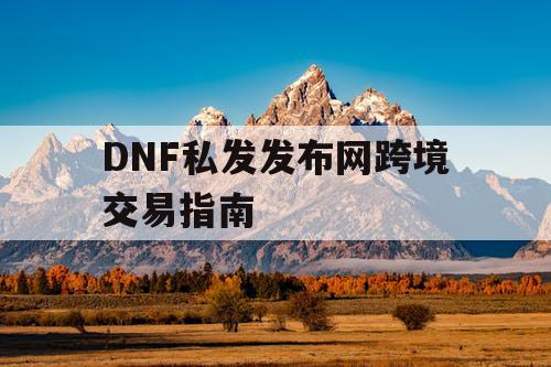 DNF私发发布网跨境交易指南