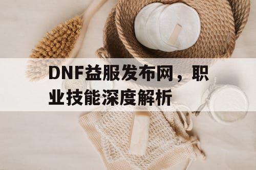 DNF益服发布网，职业技能深度解析