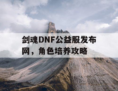 剑魂DNF公益服发布网	，角色培养攻略