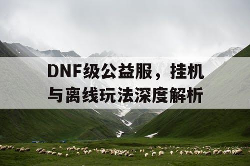 DNF级公益服，挂机与离线玩法深度解析