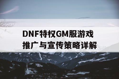 DNF特权GM服游戏推广与宣传策略详解