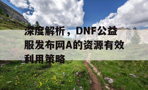 深度解析，DNF公益服发布网A的资源有效利用策略