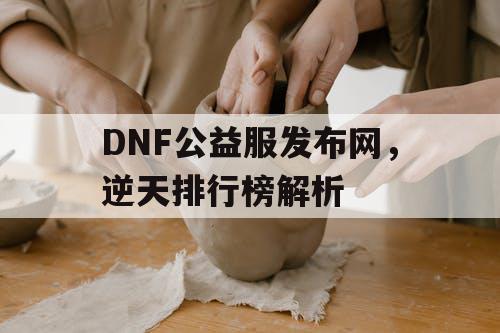 DNF公益服发布网	，逆天排行榜解析