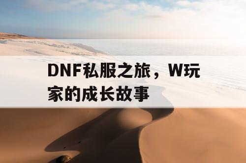 DNF私服之旅	，W玩家的成长故事