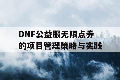 DNF公益服无限点券的项目管理策略与实践