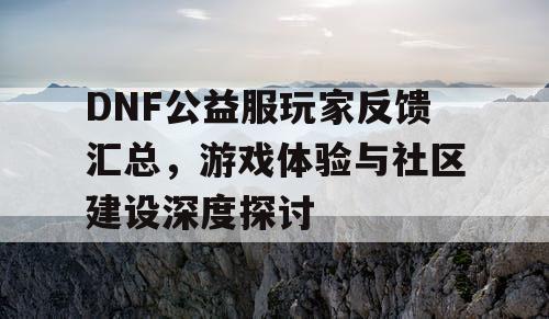 DNF公益服玩家反馈汇总，游戏体验与社区建设深度探讨