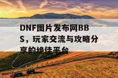 DNF图片发布网BBS，玩家交流与攻略分享的绝佳平台