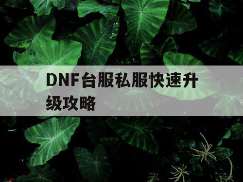 DNF台服私服快速升级攻略