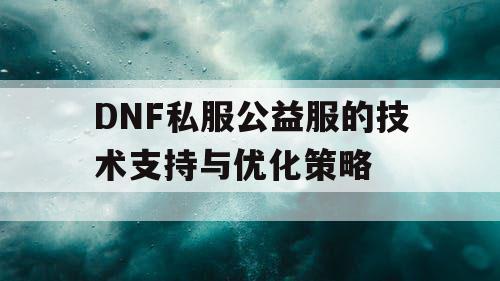 DNF私服公益服的技术支持与优化策略