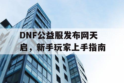 DNF公益服发布网天启	，新手玩家上手指南