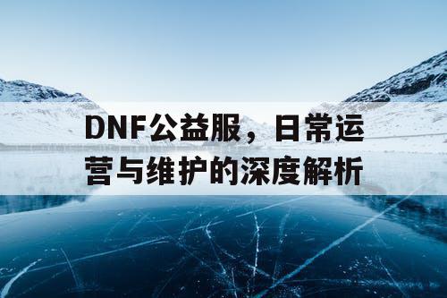 DNF公益服，日常运营与维护的深度解析