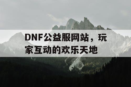 DNF公益服网站，玩家互动的欢乐天地