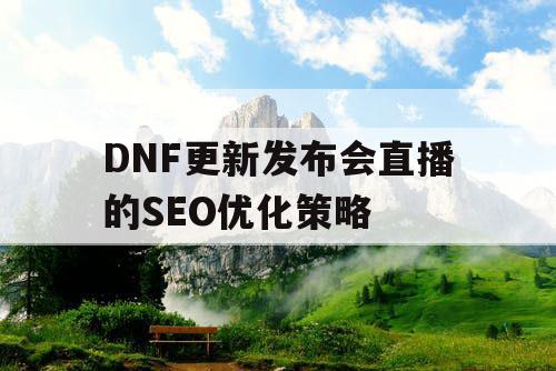 DNF更新发布会直播的SEO优化策略