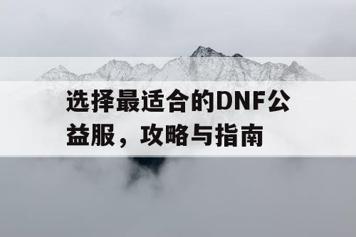 选择最适合的DNF公益服，攻略与指南