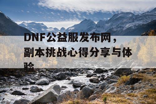 DNF公益服发布网，副本挑战心得分享与体验