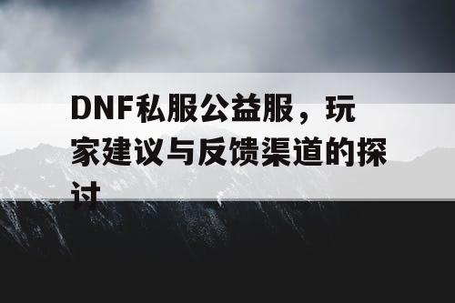 DNF私服公益服	，玩家建议与反馈渠道的探讨