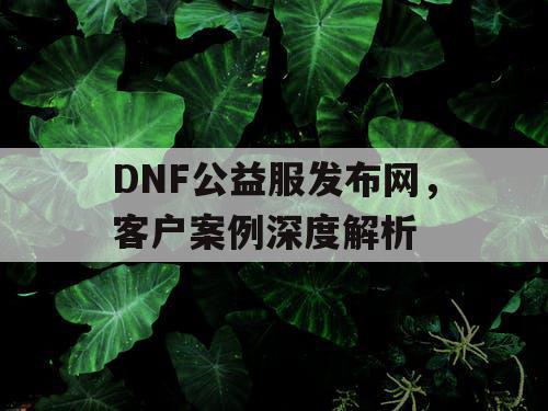 DNF公益服发布网，客户案例深度解析