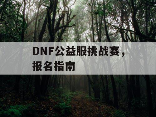 DNF公益服挑战赛	，报名指南