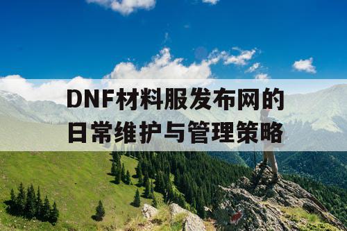 DNF材料服发布网的日常维护与管理策略