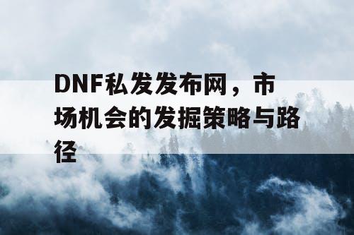 DNF私发发布网，市场机会的发掘策略与路径