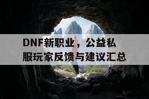 DNF新职业，公益私服玩家反馈与建议汇总