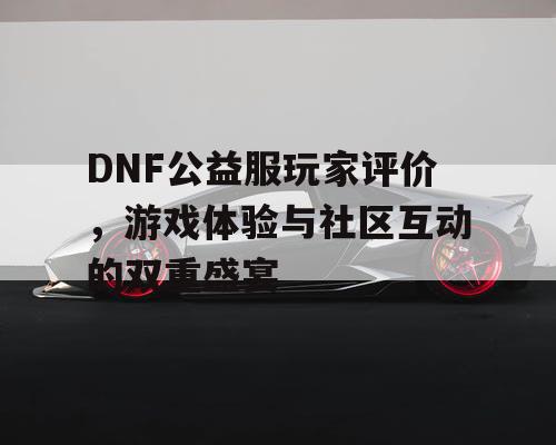 DNF公益服玩家评价，游戏体验与社区互动的双重盛宴