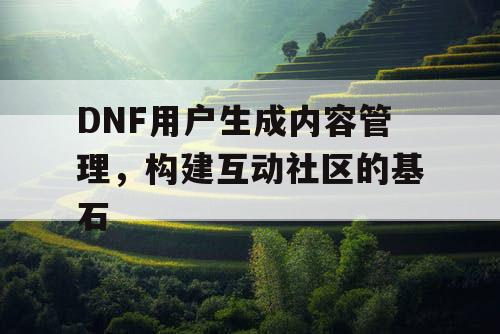 DNF用户生成内容管理，构建互动社区的基石