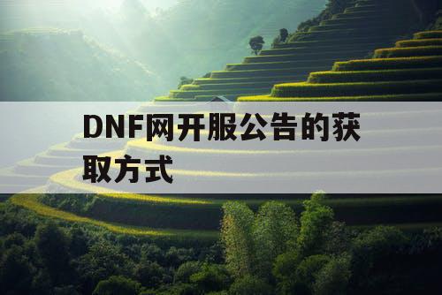 DNF网开服公告的获取方式