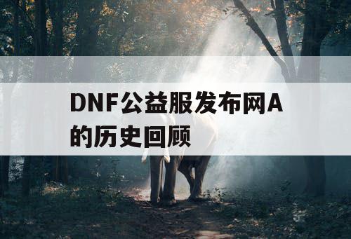 DNF公益服发布网A的历史回顾