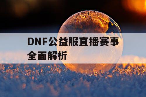 DNF公益服直播赛事全面解析