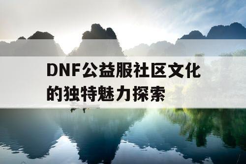 DNF公益服社区文化的独特魅力探索