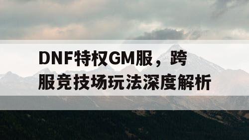 DNF特权GM服	，跨服竞技场玩法深度解析