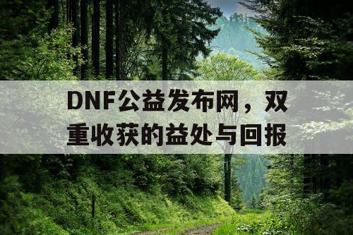 DNF公益发布网	，双重收获的益处与回报