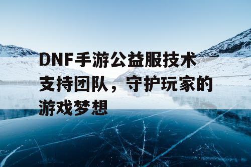 DNF手游公益服技术支持团队，守护玩家的游戏梦想